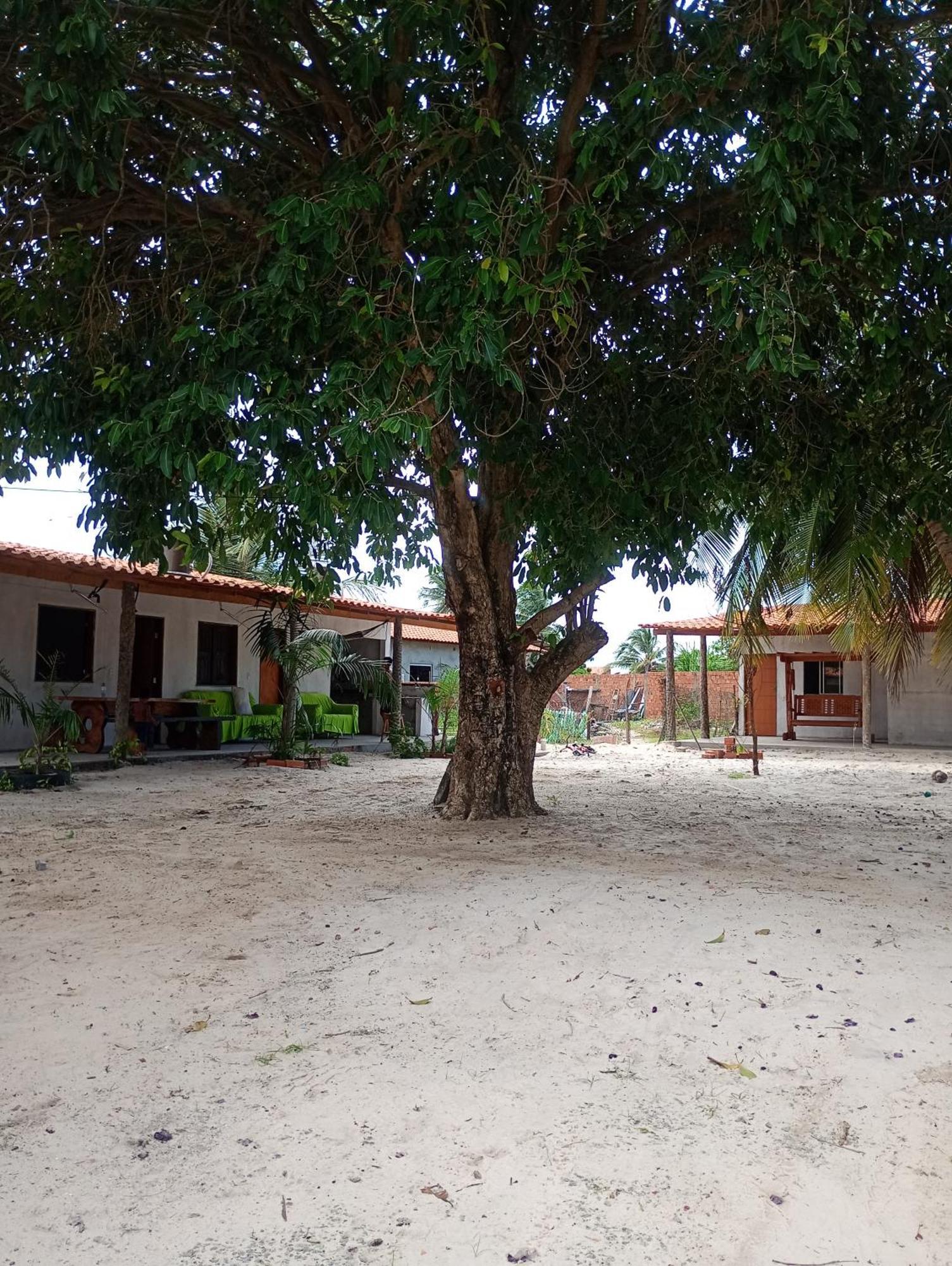 Pousada Shalom E Hostel Holly Land Santo Amaro do Maranhao Exterior photo